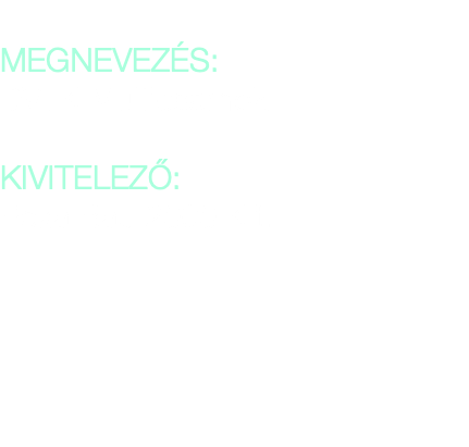 &nbsp;MEGNEVEZÉS: DVTK Multicsarnok KIVITELEZŐ: Peka Bau 2000 Kft.